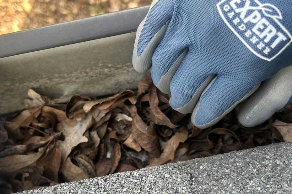 Gutter Cleaning Cibolo TX