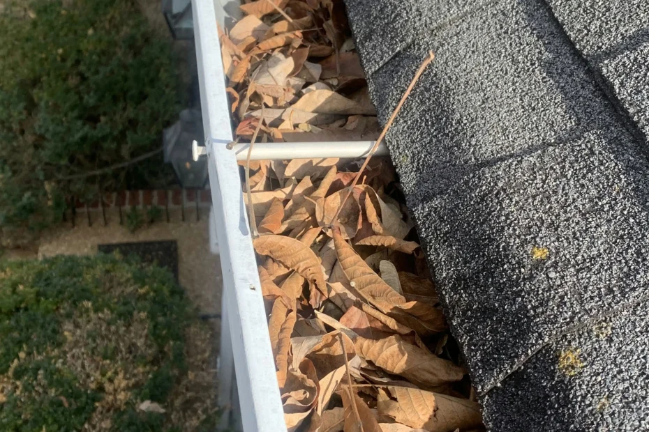 Gutter Cleaning Cibolo TX