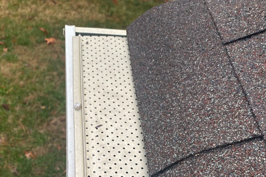 Gutter Cleaning Cibolo TX