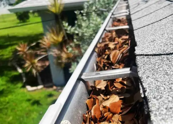 Gutter Cleaning Cibolo TX home page